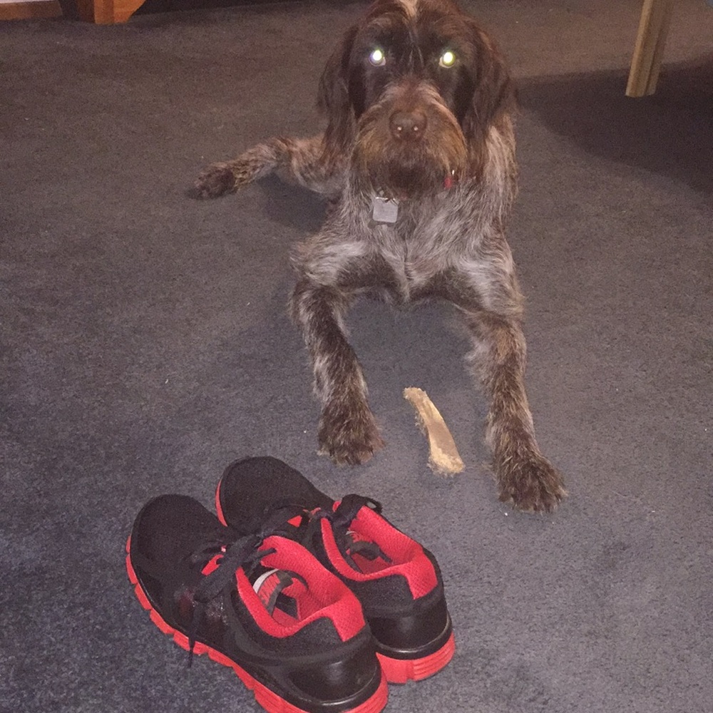 Men’s 9.5 Nike Dual Fusion Trainers